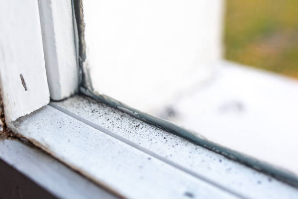 Best Real Estate Mold Inspection  in Harmony Grove, CA