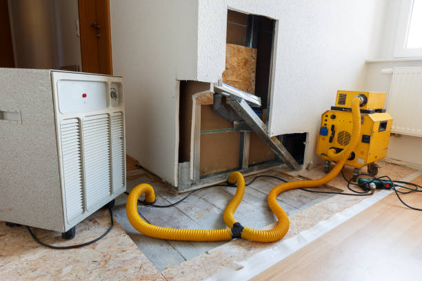 Best Biohazard Mold Removal  in Harmony Grove, CA