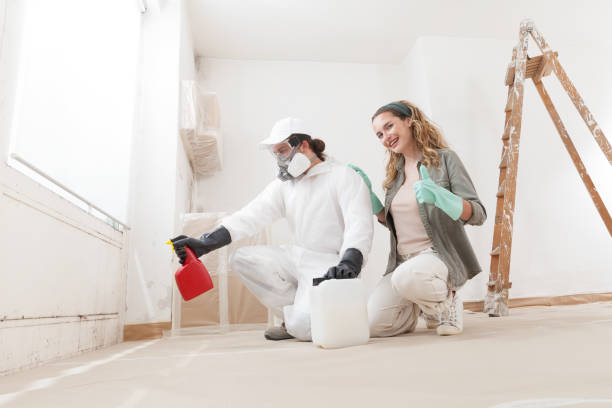 Best Black Mold Removal  in Harmony Grove, CA
